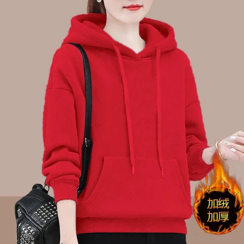 solid color 4